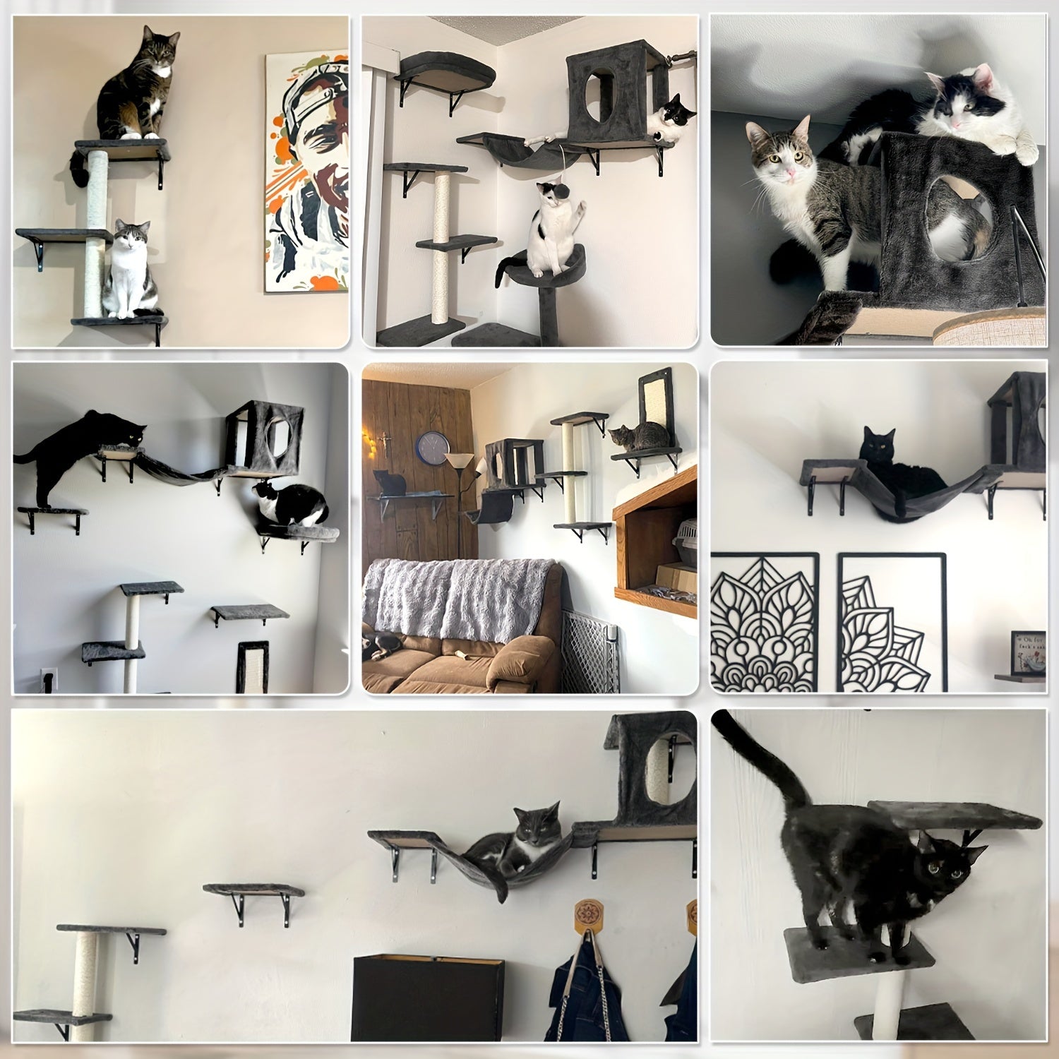 7pcs Wall Cat Shelf, 6pcs Deluxe Wall Mounted Cat Climbing Shelf Set, Indoor Cat Furniture, Includes 1 Cat Condo, 2 Cat Wall Shelves, 1 Cat Scratching Post, 1 Cat Bridge Ladder, Cat Tunnel, Suitable For Cats Of All Sizes
