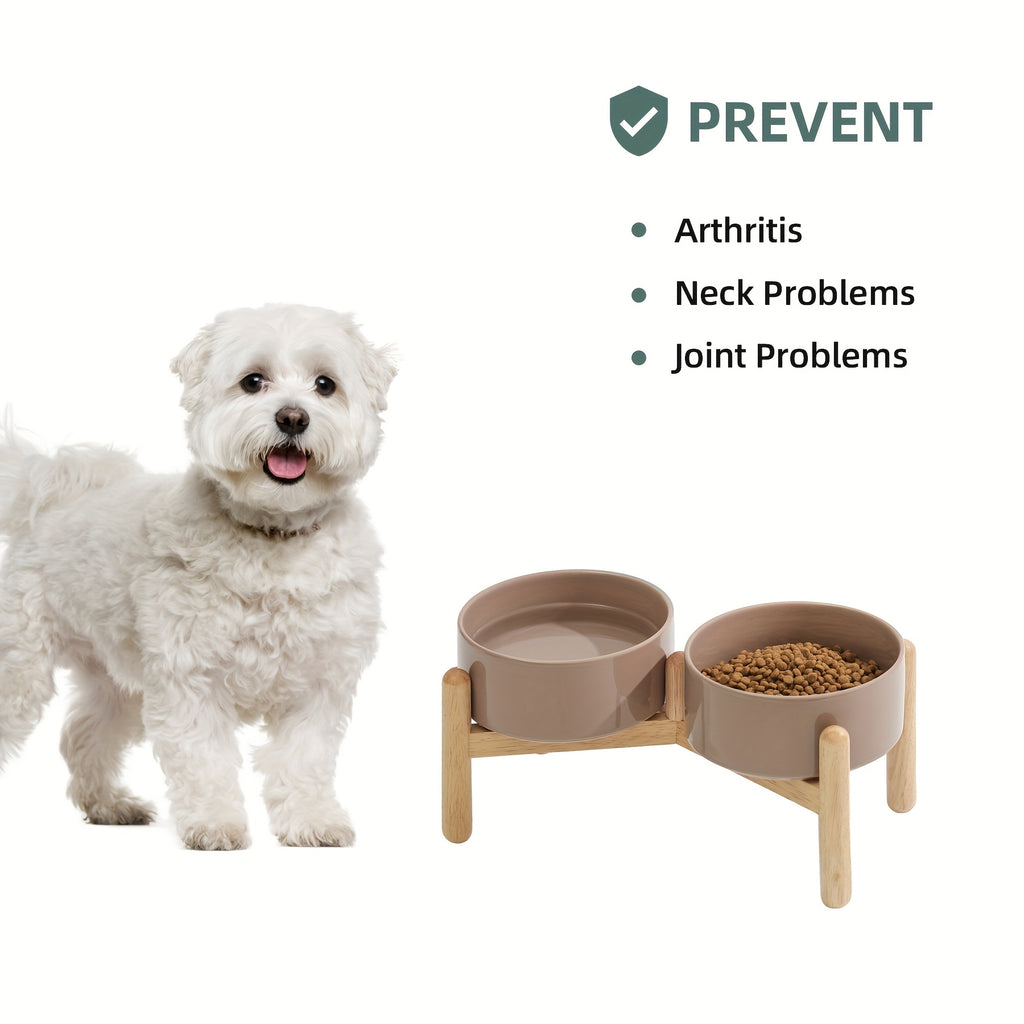 Cat & Dog Bowl - Food And Water Dish for Pets, Pet Feeding, Sleek Design, Stylish Pet Bowl, Animal Caregivers, Pet Owners