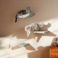 Modular Cat Wall Shelves & Perches - DIY Assemble Multi-Level Cat Tree with Safe Climbing Gym, Space-Saving Wall-Mounted Furniture for Indoor Cats, Scratch Post & Activity Center for Kittens (Easy Install on Concrete\u002FBrick\u002FDrywall)