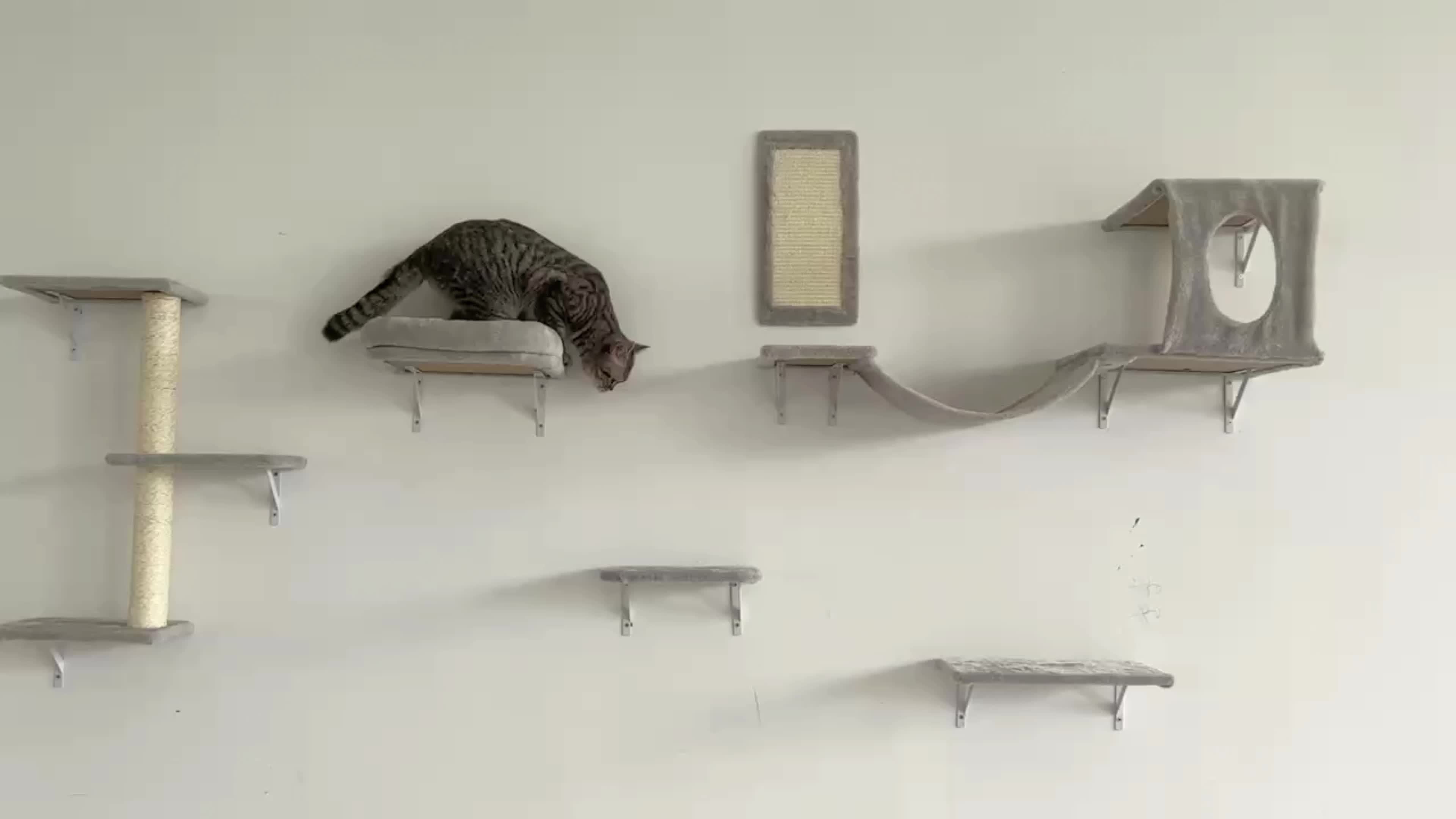 7pcs Wall Mounted Cat Furniture, 6pcs Cat Wall Furniture, Cat Climber With Cat House, Bridge, Tree, Steps, And Scratcher, Cat Walls Playground, Cat Shelves For Indoor Wall Furniture Set